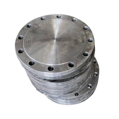 فلنج اتصال لوله فولادی Q235 A312