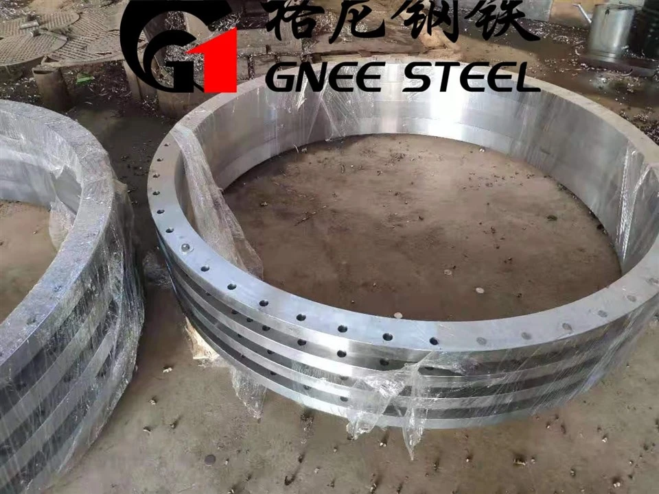 Stainless Steel Flange Pipe Fitting